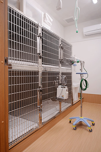 犬の入院室