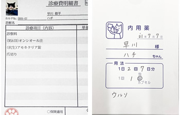 処方するお薬の袋や診療明細書